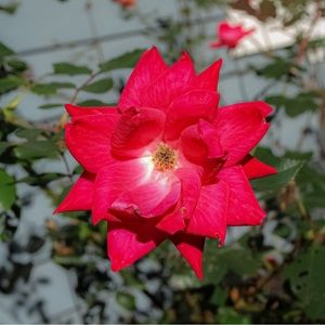 Meet your Posher, Alejandra